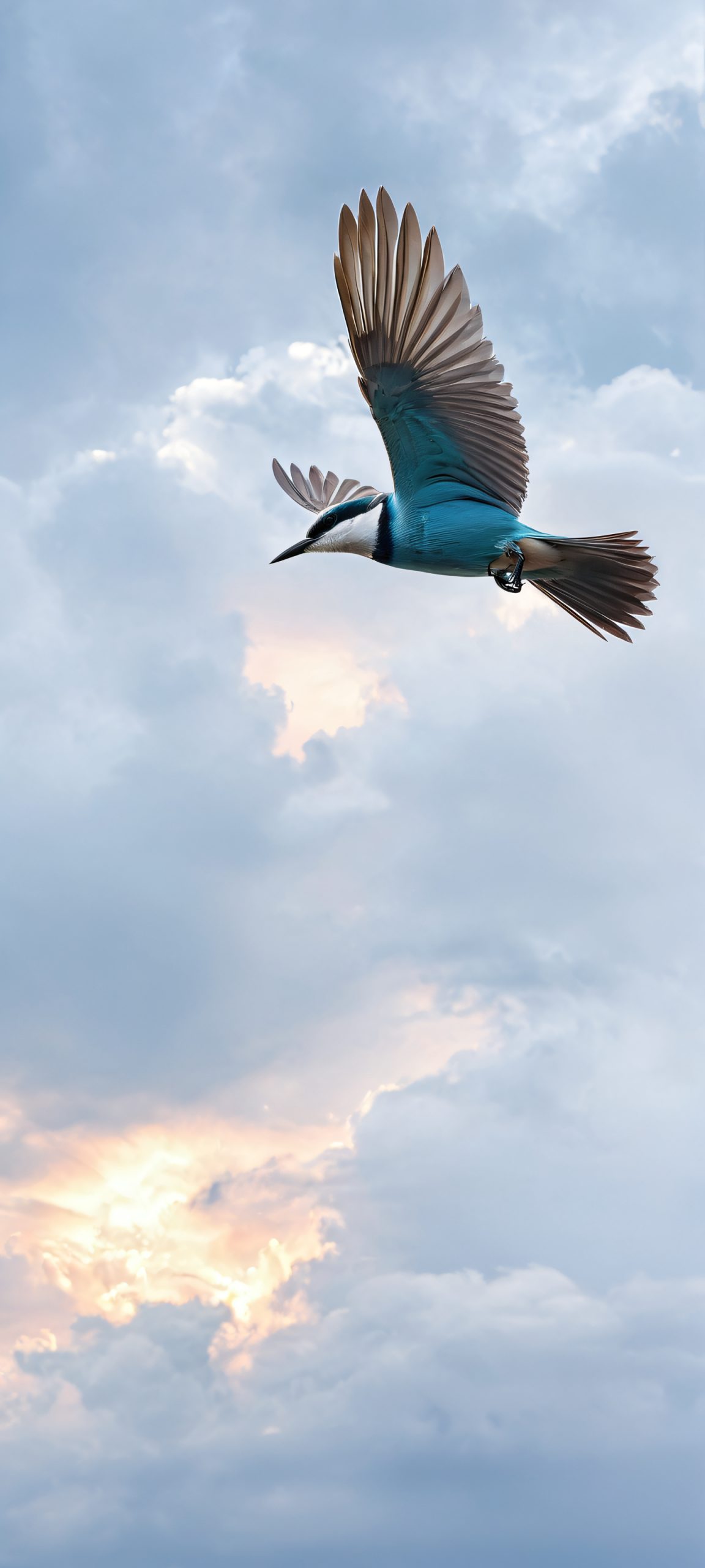 bird in flight vertical mobile phone wallpaper scaled
