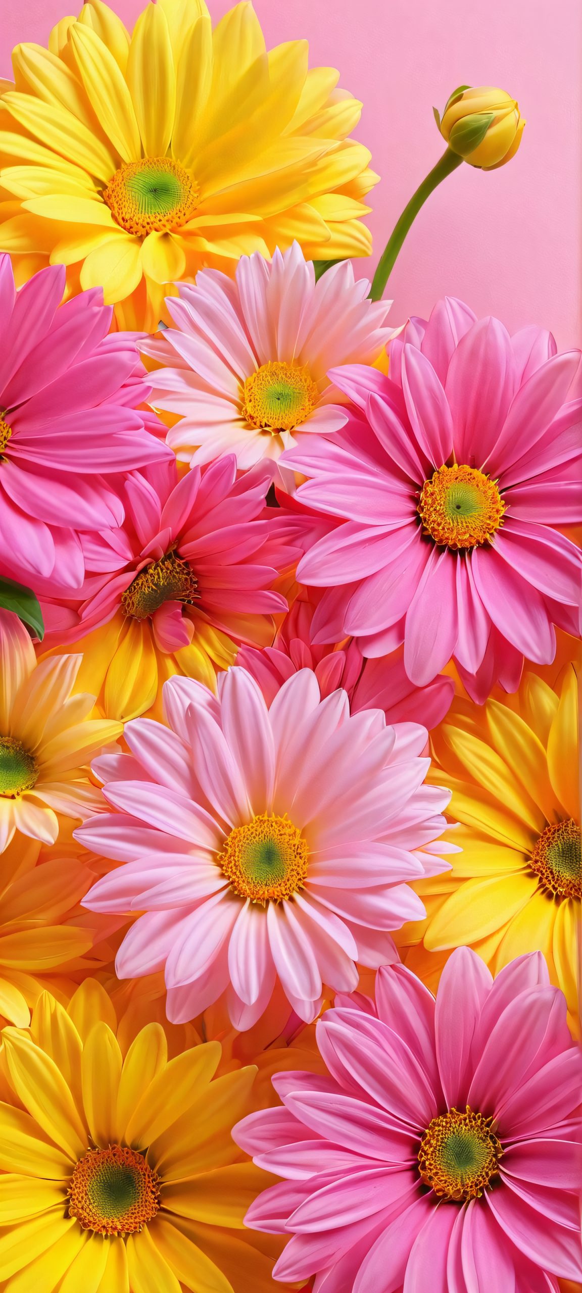 blooming beauty wallpaper scaled