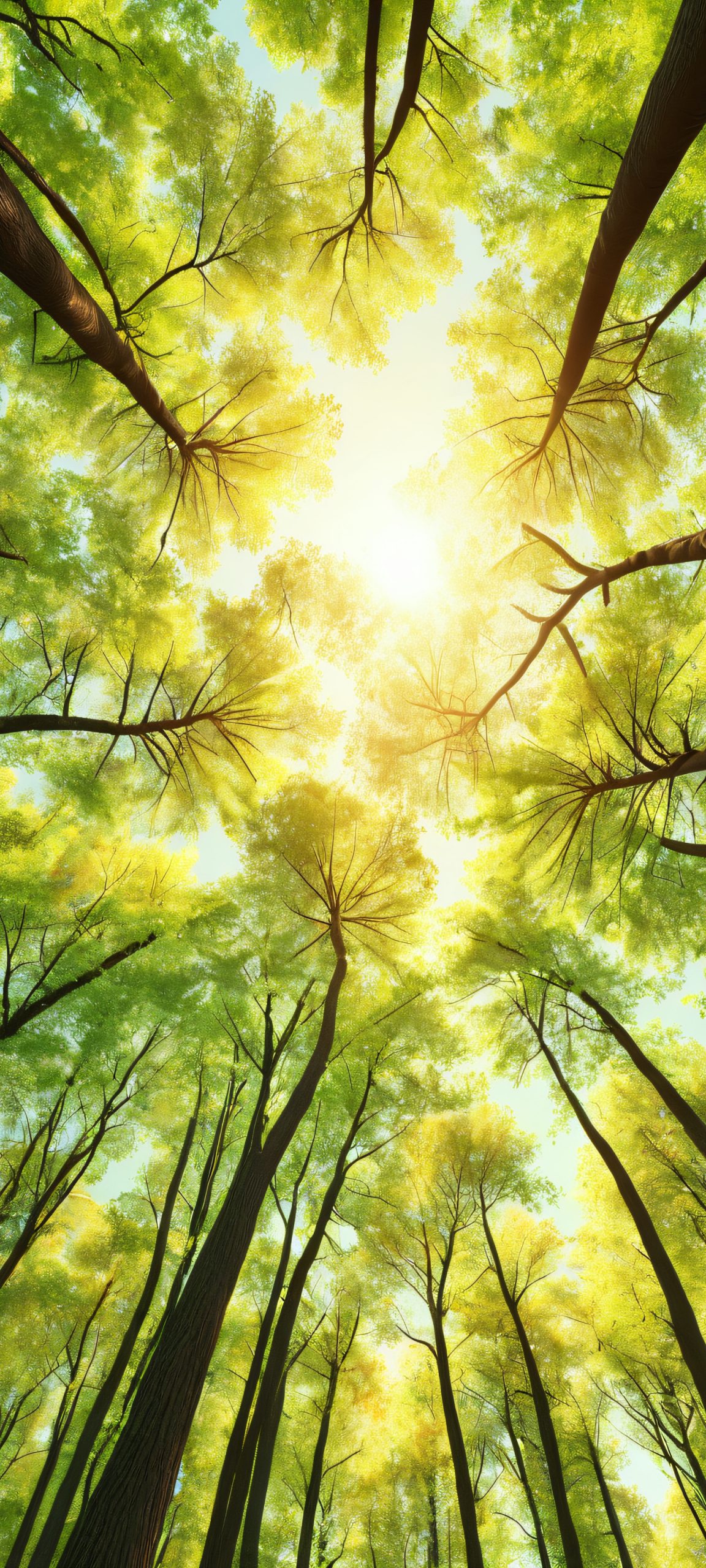 A stunning vertical mobile wallpaper of trees and forest, perfectly optimized for iPhone, Samsung Galaxy, and Android home screens.