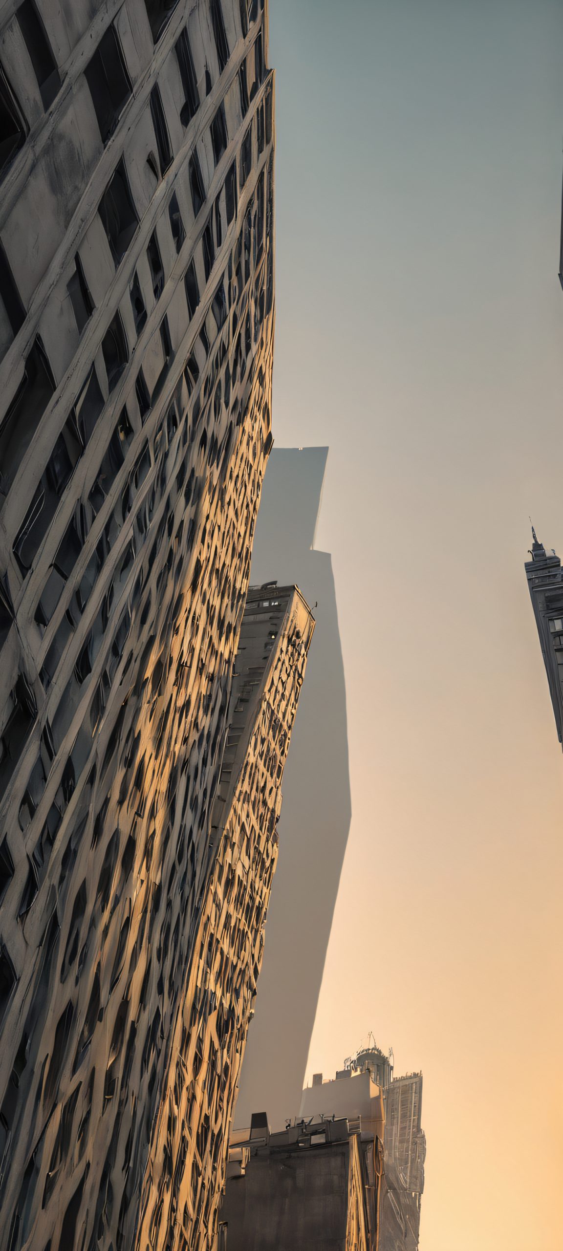 concrete oasis scaled