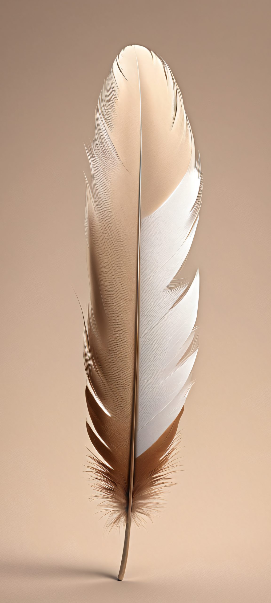 Single feather mobile wallpaper for iPhone and Android, featuring a rustic and minimalist design with soft diffuse lighting.