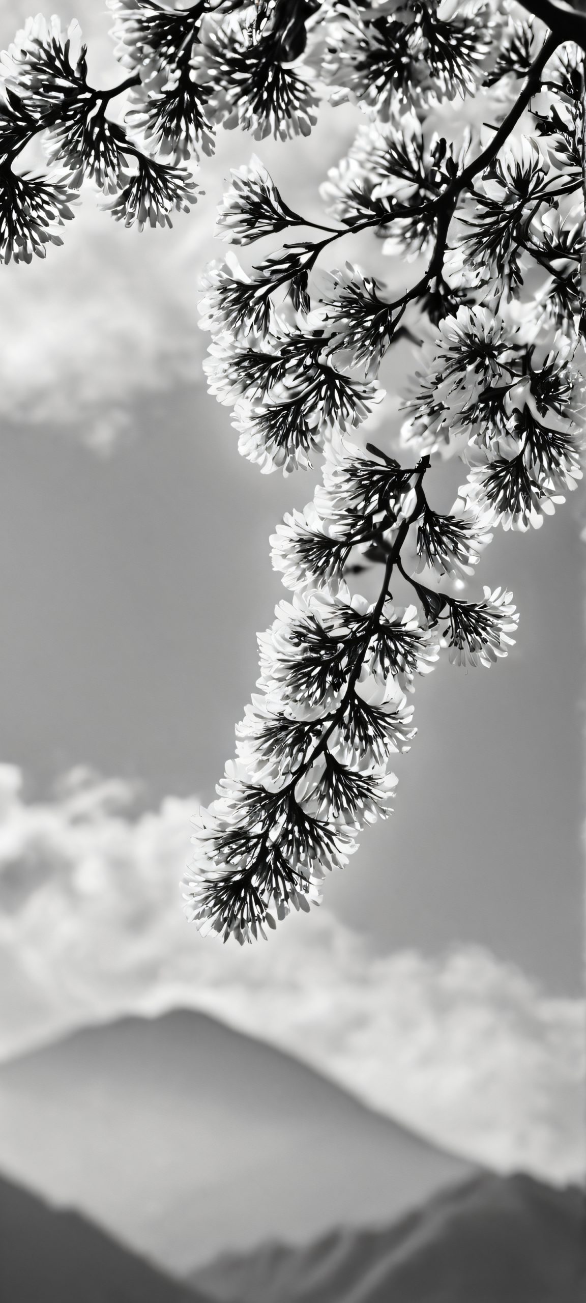 ethereal featherscape scaled