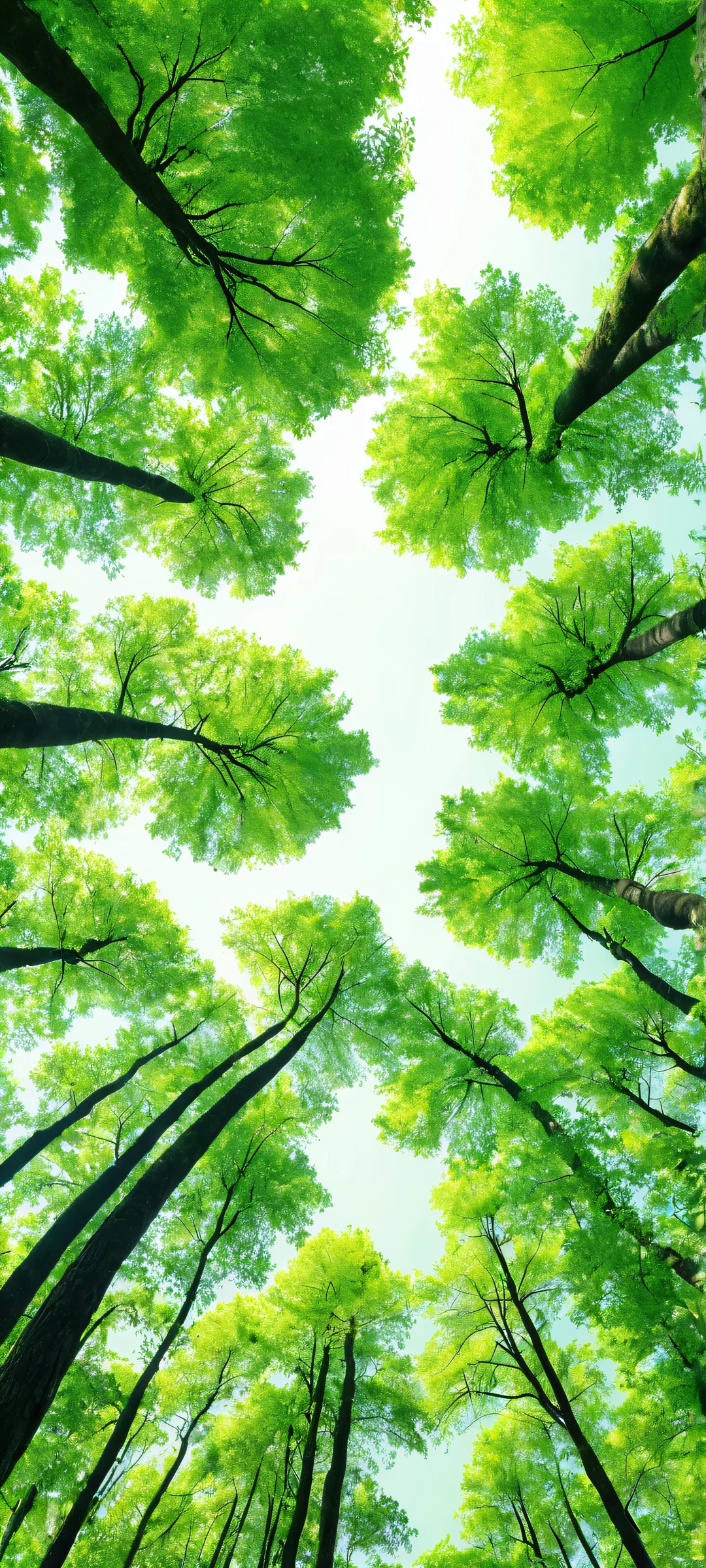 A stunning vertical mobile wallpaper of realistic trees and forest scenery for iPhone and Android devices.