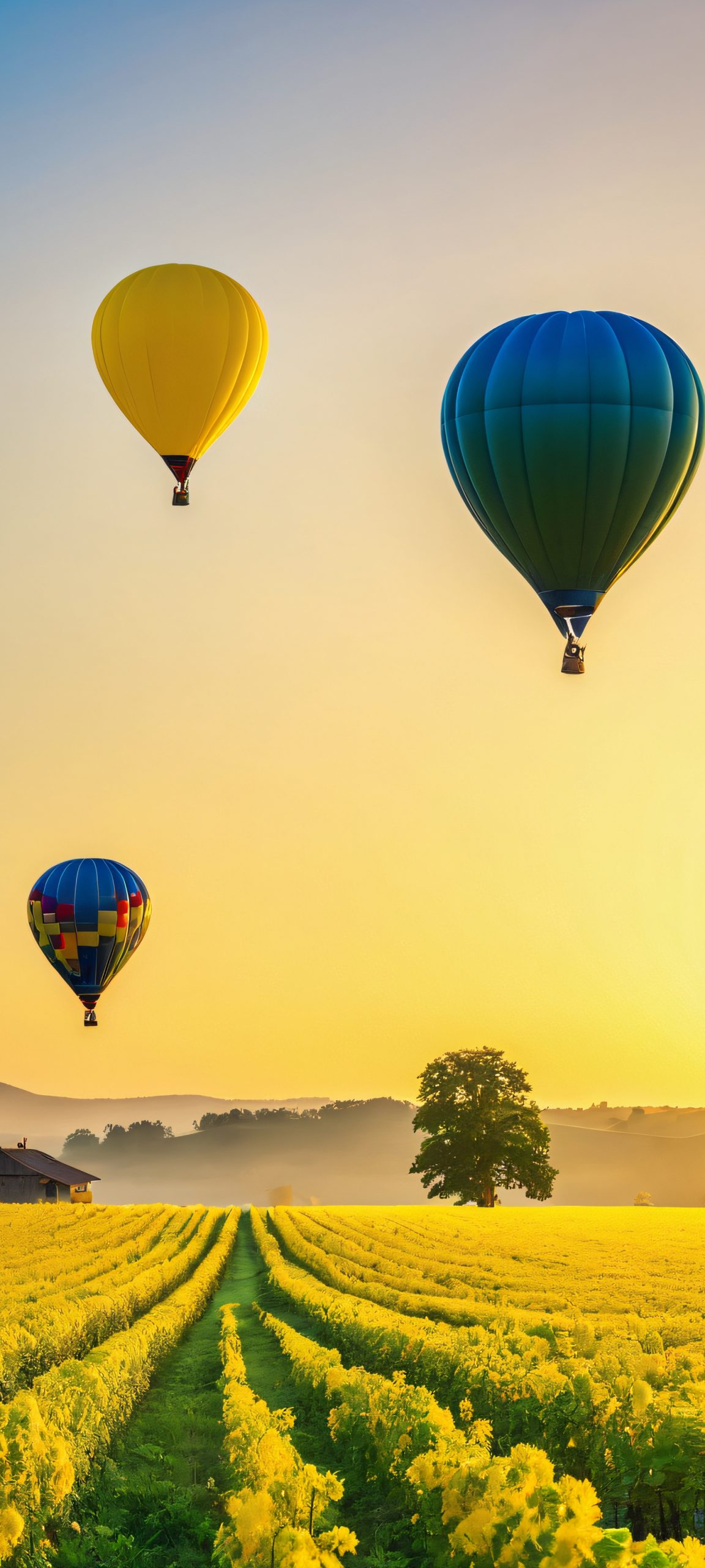 Vibrant balloon ride at golden hour, perfect for iPhone or Android home screens.
