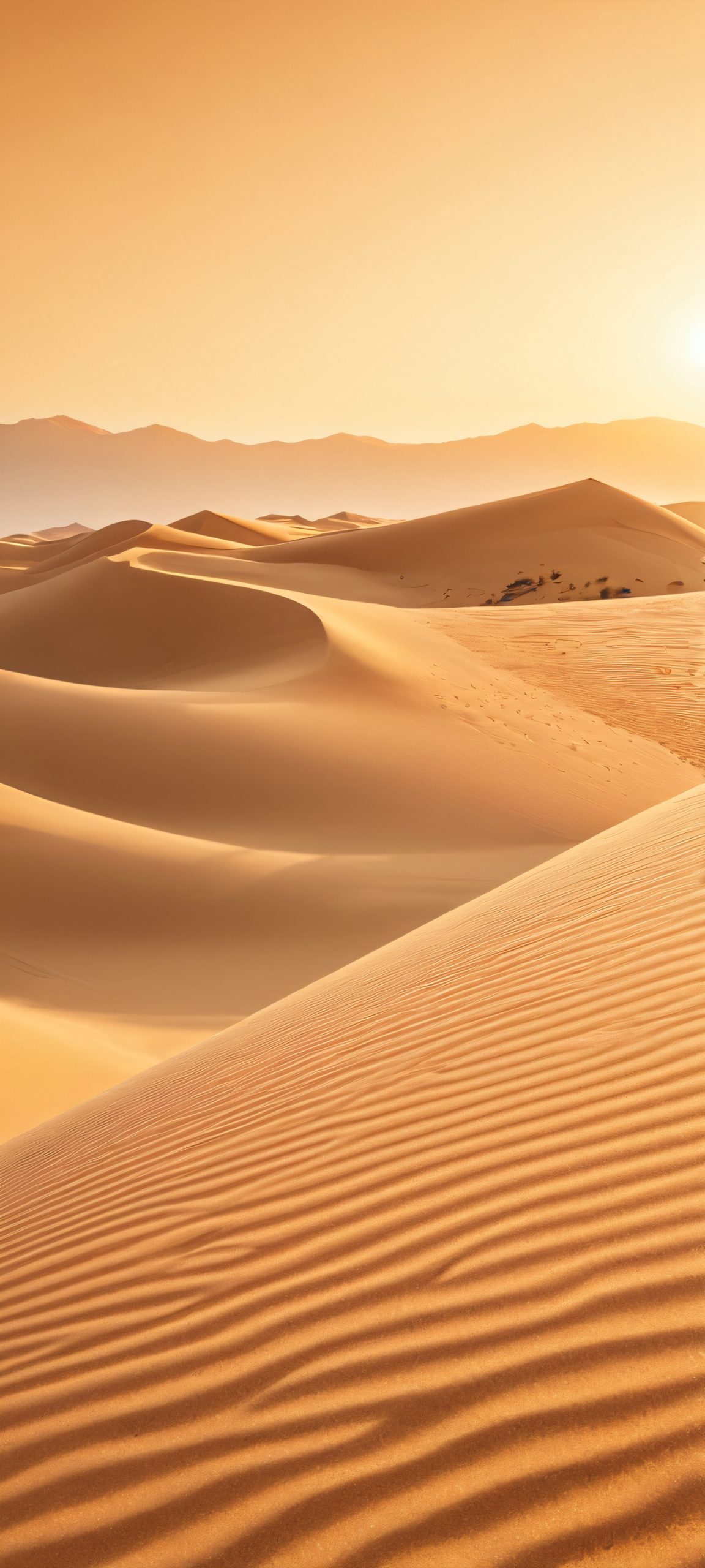 golden hour oasis 2 scaled