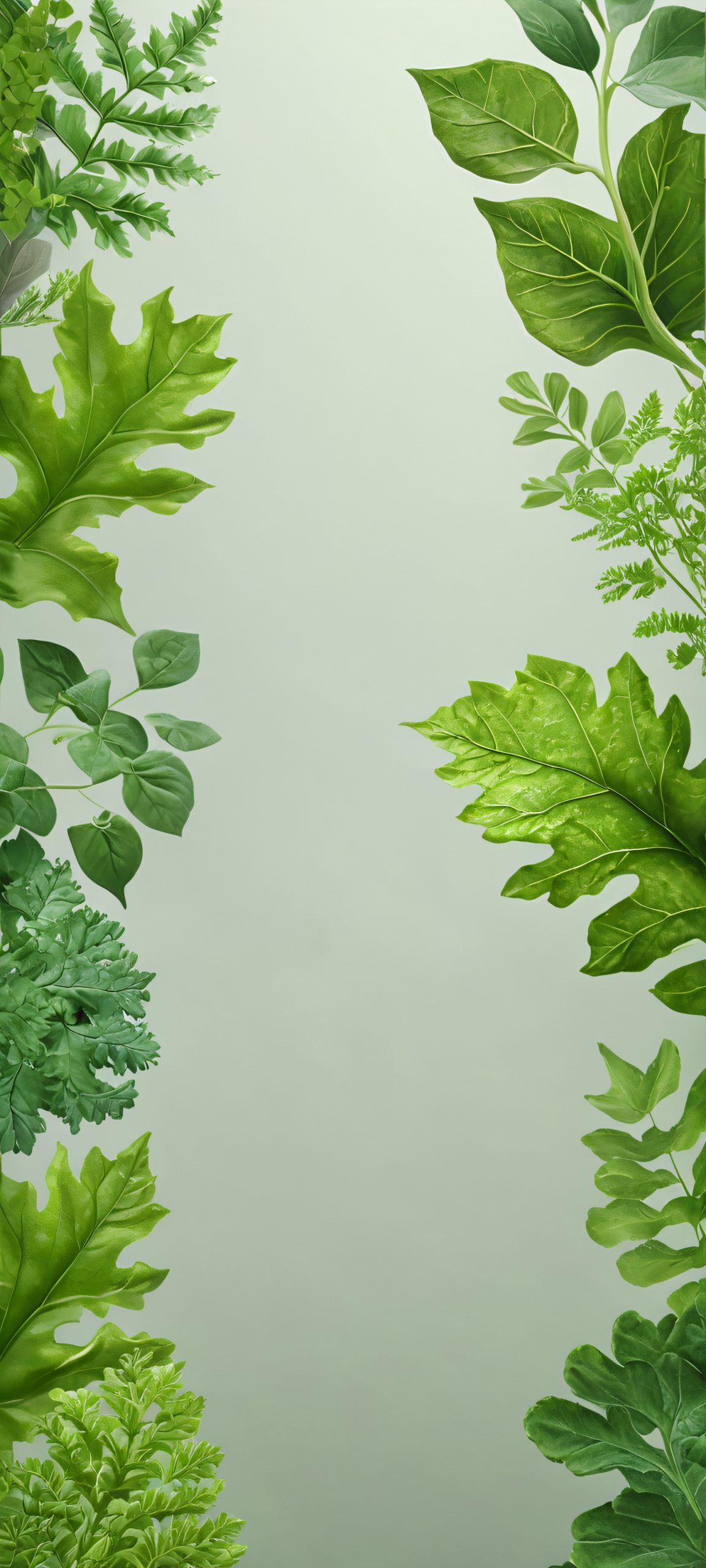 misty forest retreat scaled