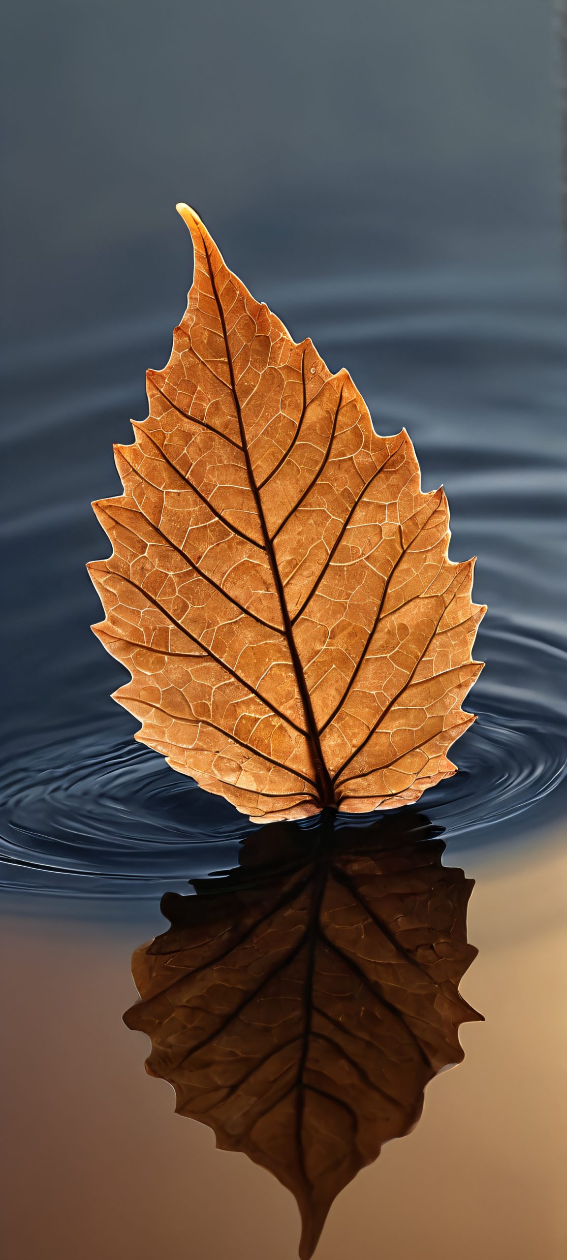 misty leaf oasis scaled