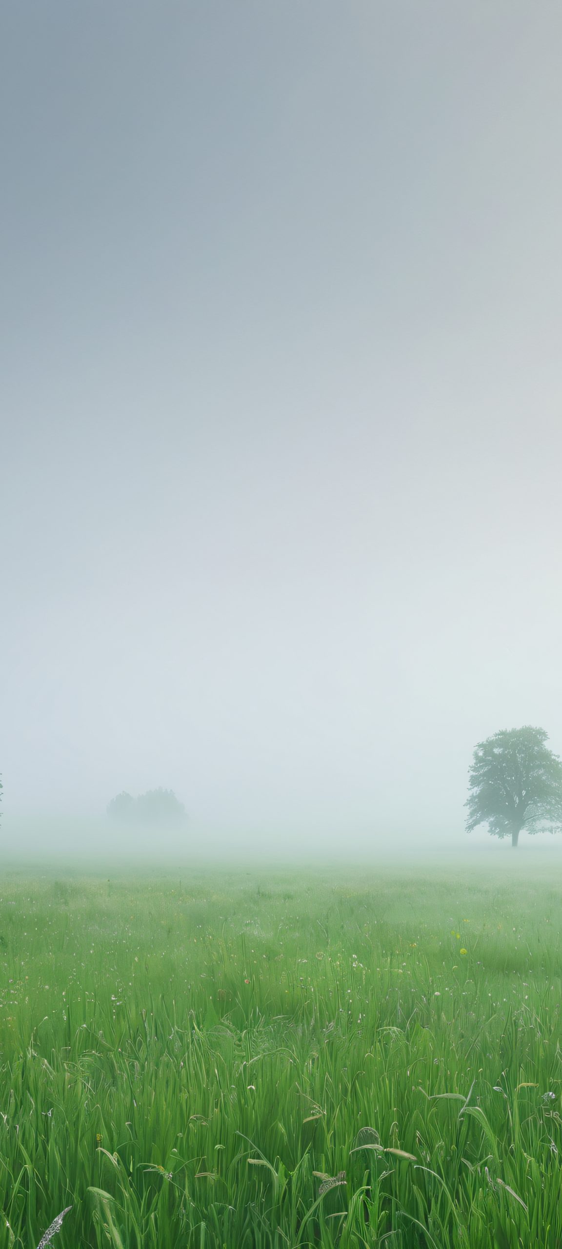 A serene misty meadow landscape for your iPhone or Android, perfect for a calming home screen.
