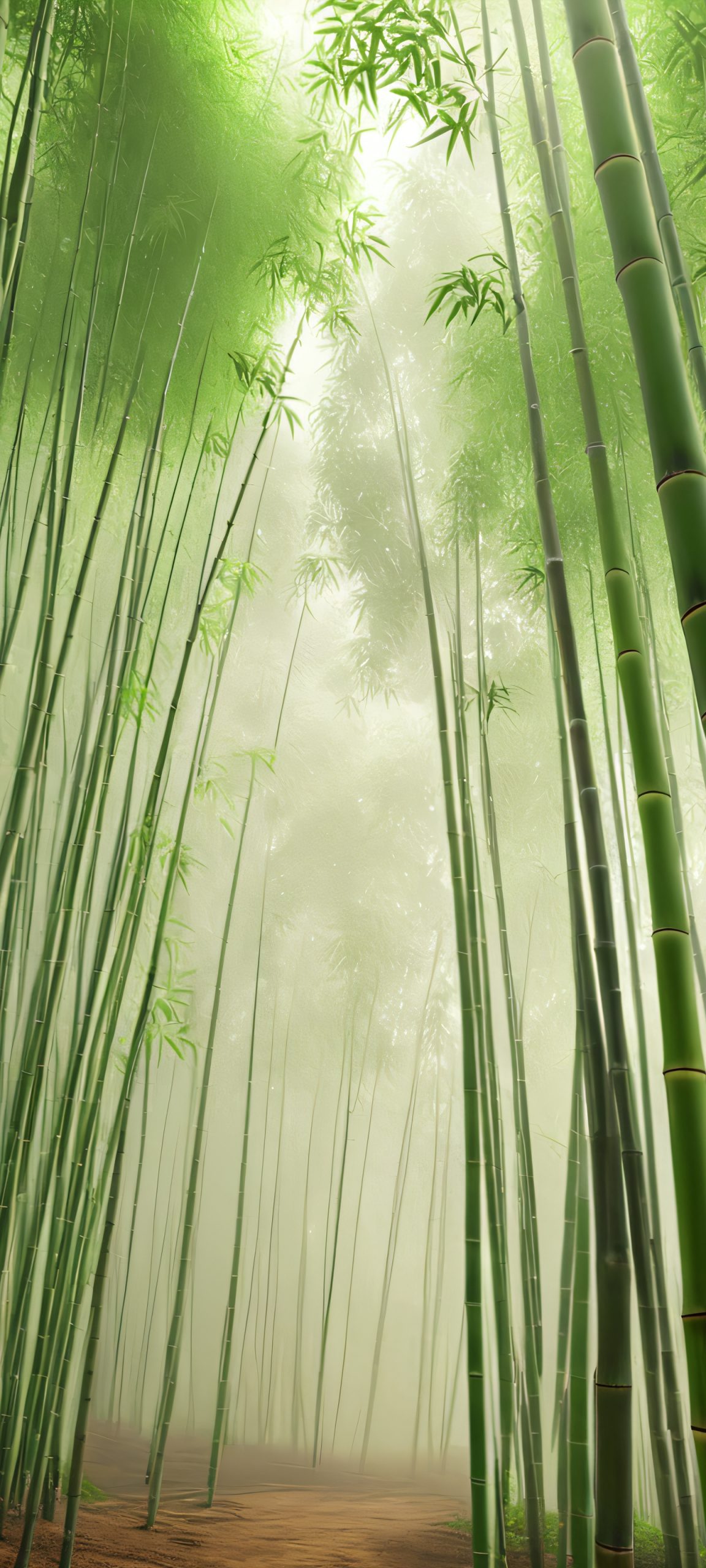 A serene bamboo forest scene, perfect for iPhone and Android home screens, with soft morning light and misty atmosphere