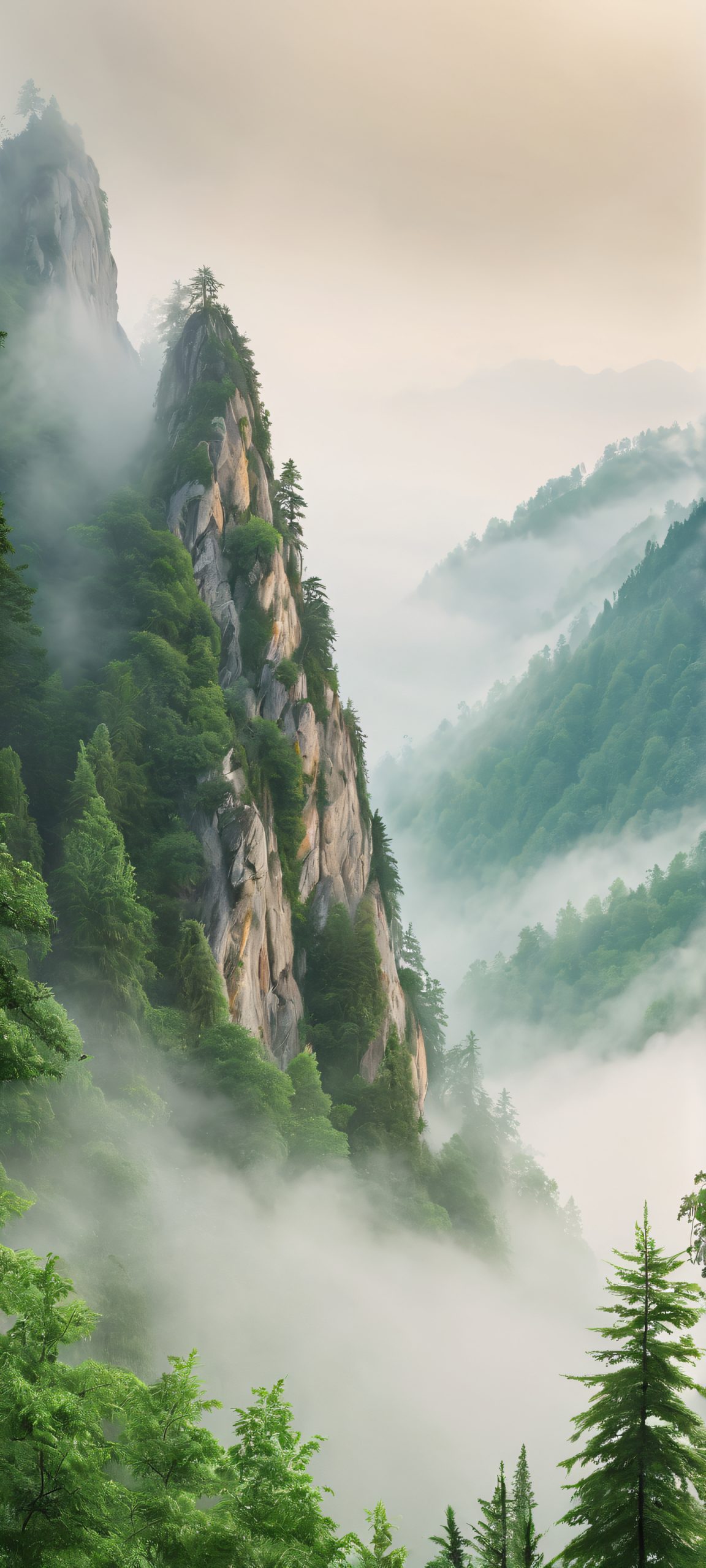 A serene mountain landscape with a foggy forest and soft overcast, perfect for your iPhone or Android home screen.
