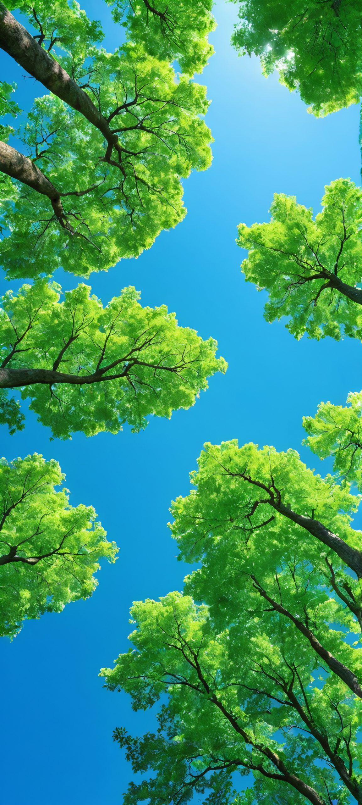 moonlit forest serenity 1 scaled