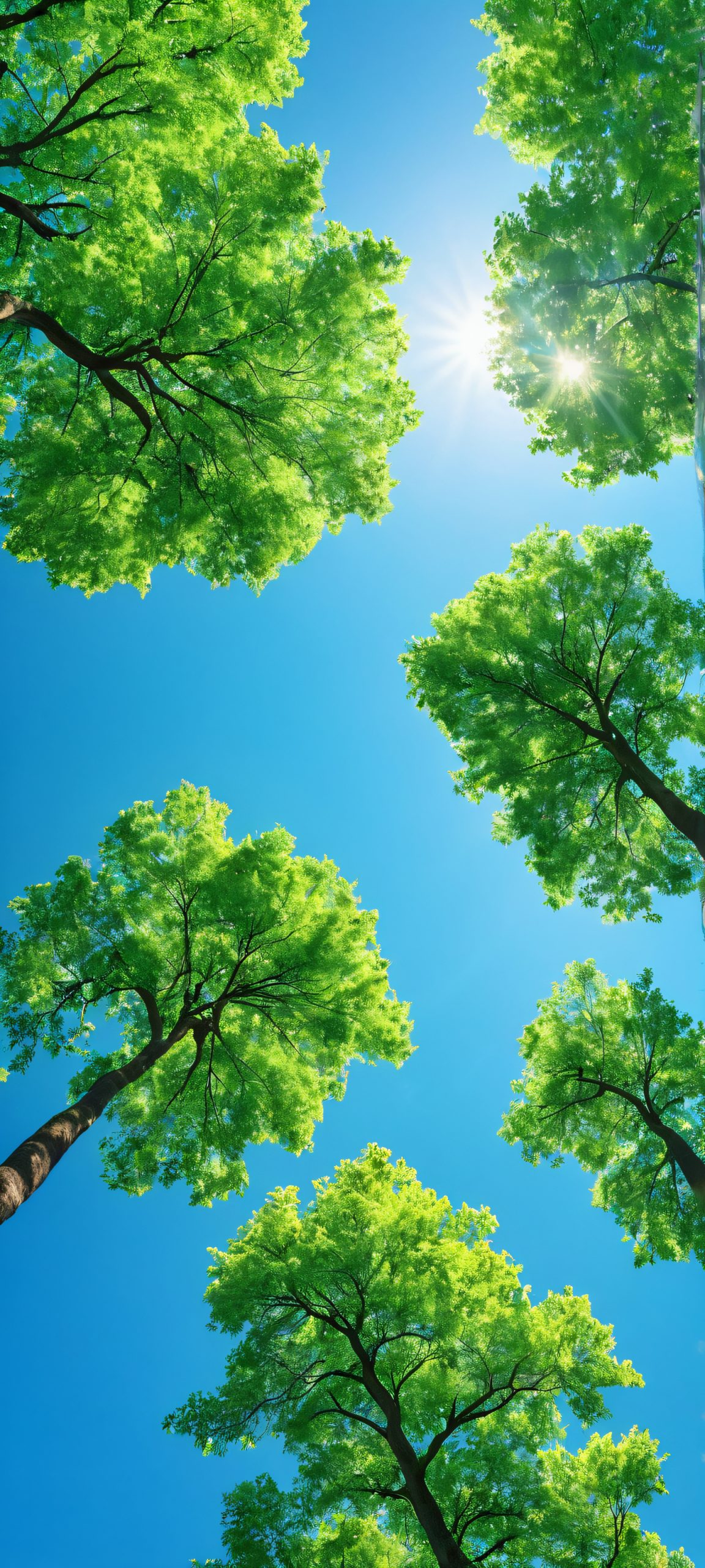 moonlit forest serenity scaled