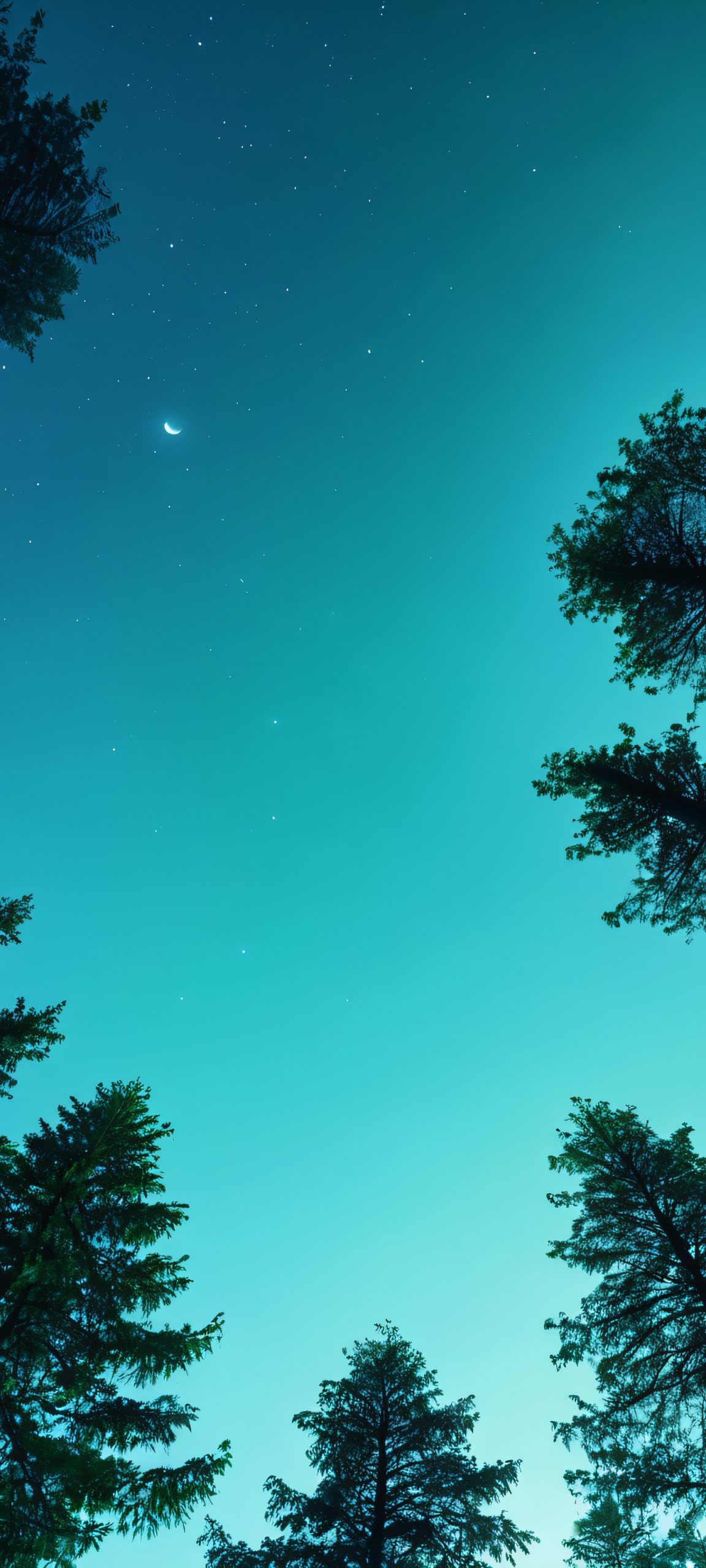 Moonlit Tree Canopy 2K QHD Home Screen iPhone/Android wallpaper of a stunning moonlit tree canopy with vibrant green and blue hues