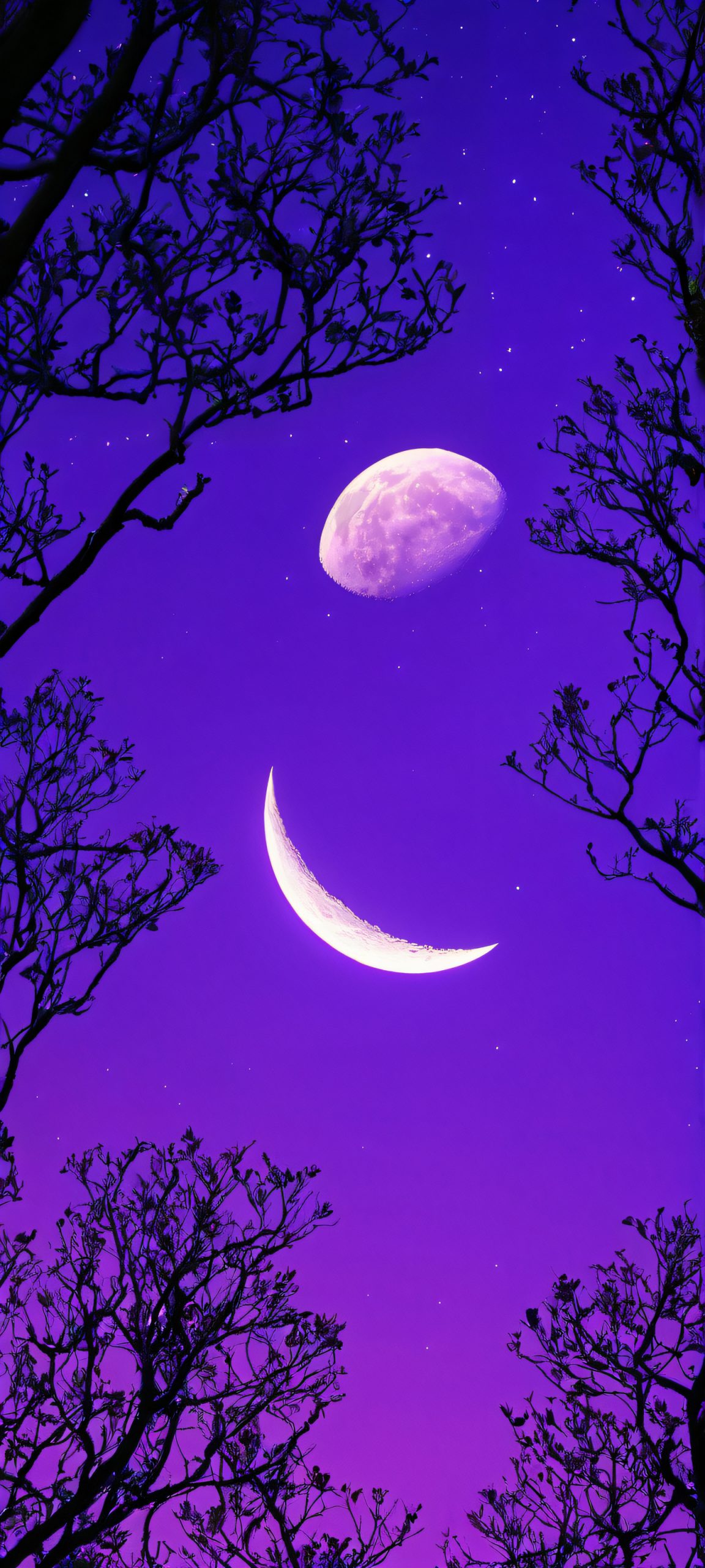 moonlit tree silhouette scaled