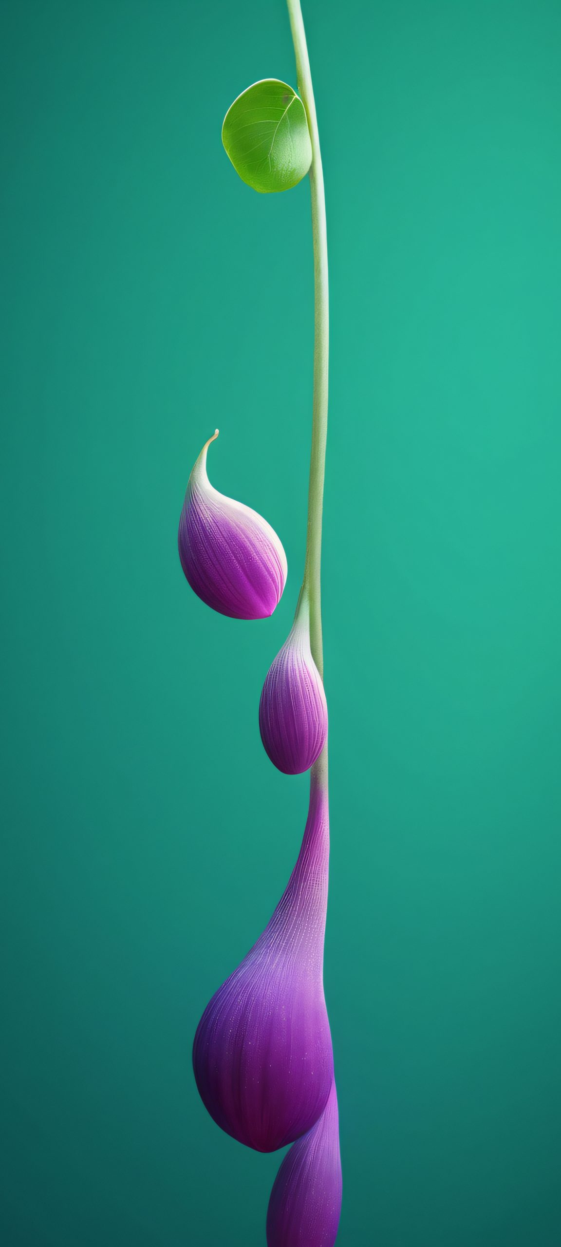 organic forms elegance wallpaper scaled