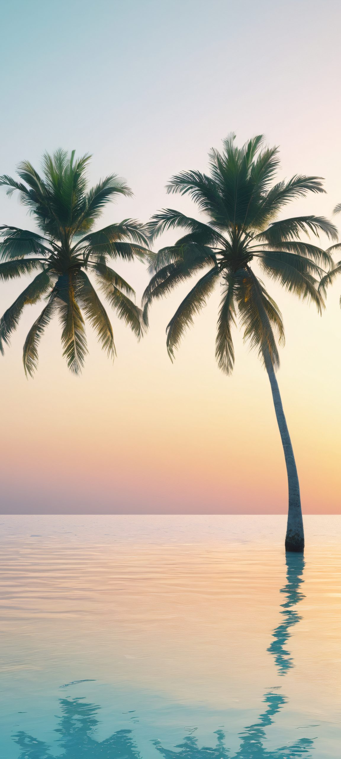 Relax with the serenity of a tropical beachside scene featuring palm trees and a calming coastline, perfect for your iPhone or Android