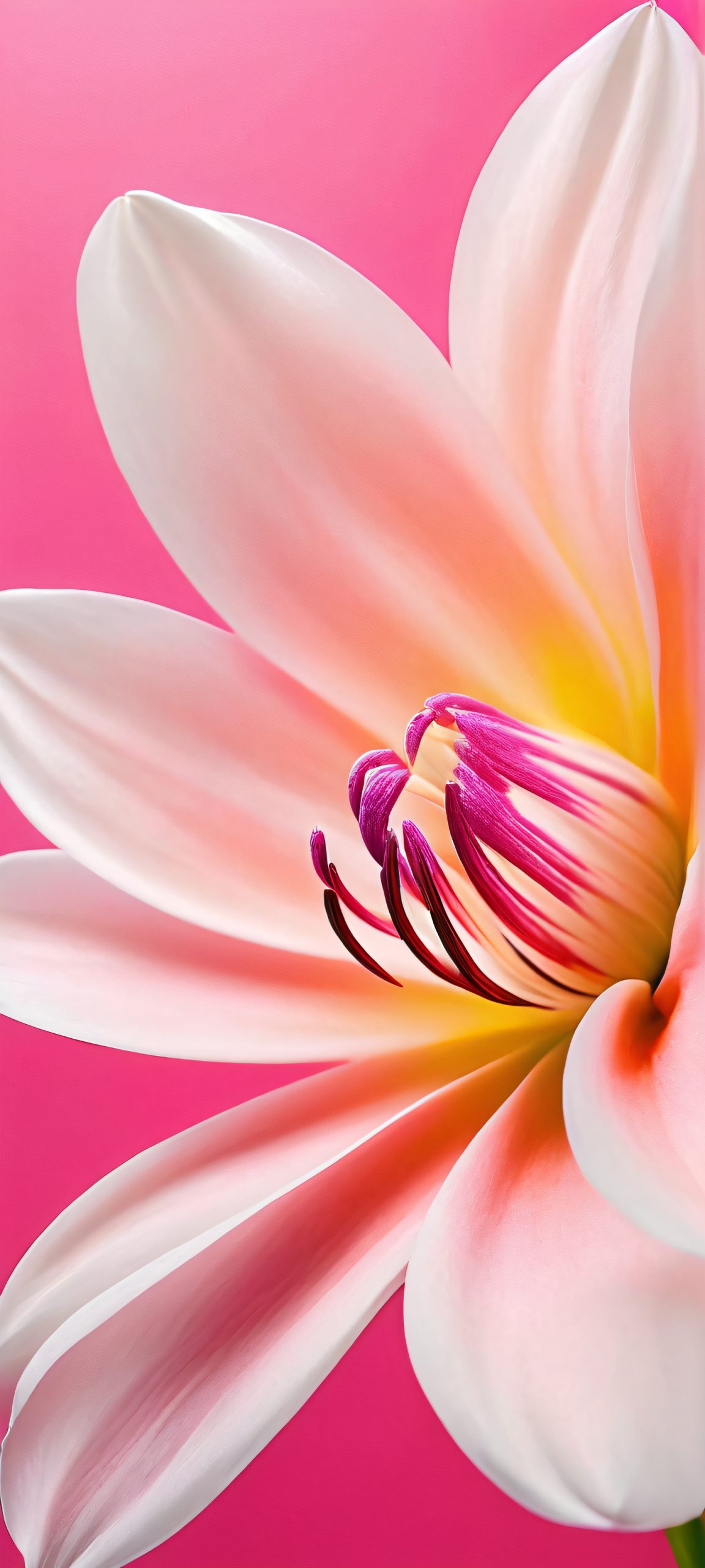 pink petals masterpiece scaled