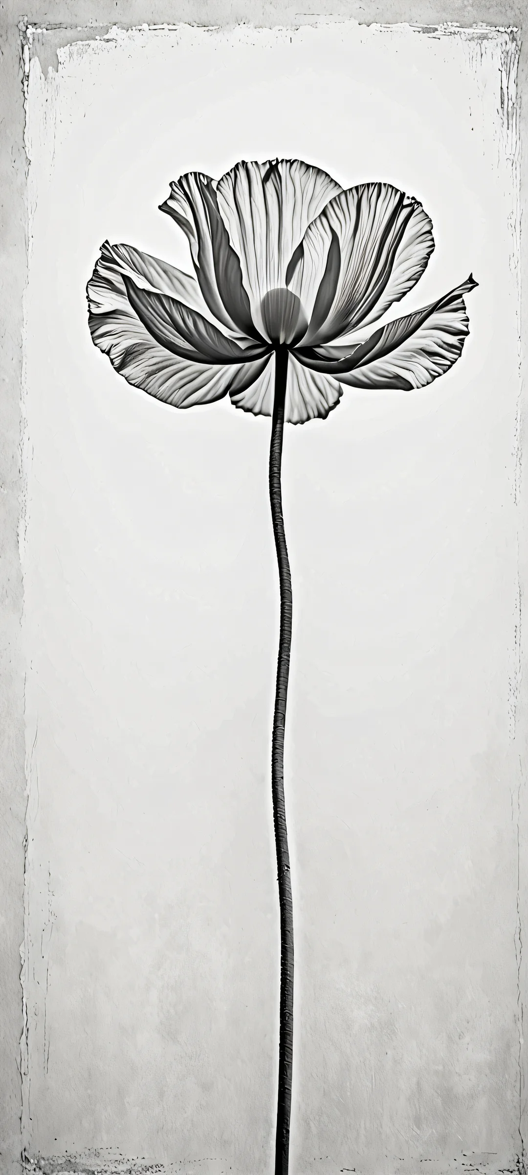 Poppie's Harmony 2K QHD Mobile Wallpaper Stunning minimalist artwork of Poppie on a monochrome background, perfect for iPhone and Android home screens.