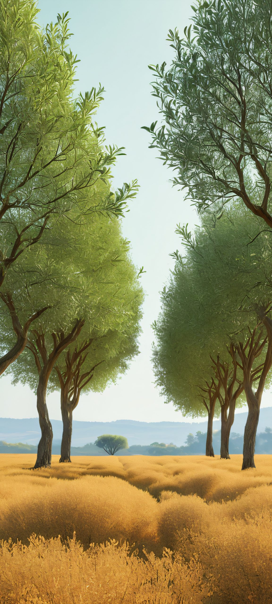 iPhone and Android users, immerse yourself in this stunning vertical wallpaper of a serene forest, perfectly capturing the warmth of daylight with EarthTones and Olive hues.