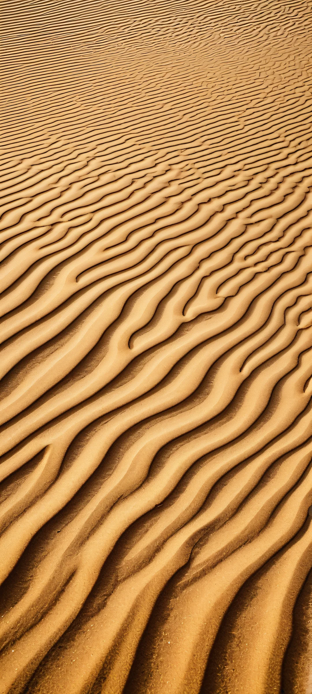 iPhone and Android users can set this stunning sand ripple wallpaper as their home screen background. The minimalist macro of the desert landscape is a perfect addition to any mobile phone.