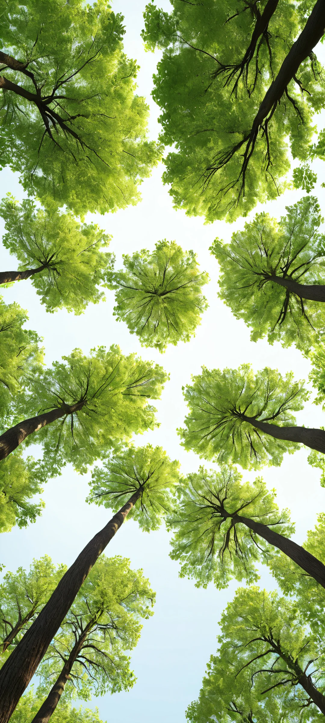 A majestic vertical landscape of towering trees and lush foliage perfectly suited for your iPhone or Android device.