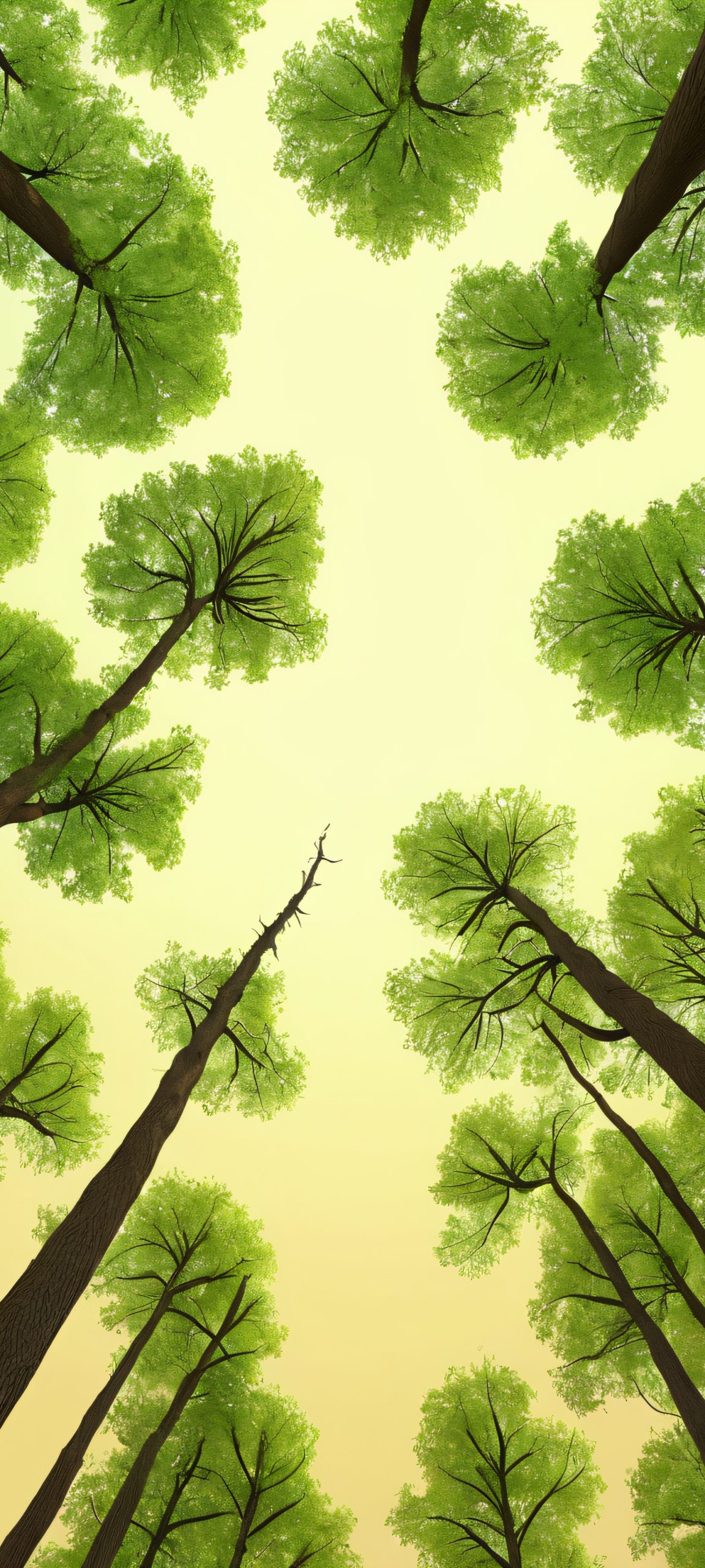 Immerse yourself in the tranquility of this stunning forest landscape, perfectly suited for your iPhone or Android device.