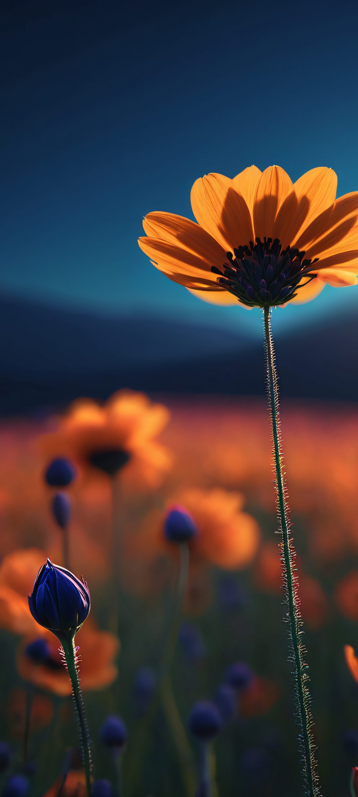 sleek metallic bloom scaled