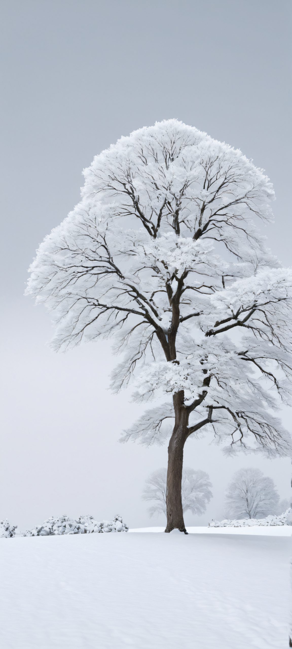 Snowy Oasis 2K Mobile Background A serene snowy landscape on your iPhone or Android, with a beautiful tree standing tall.