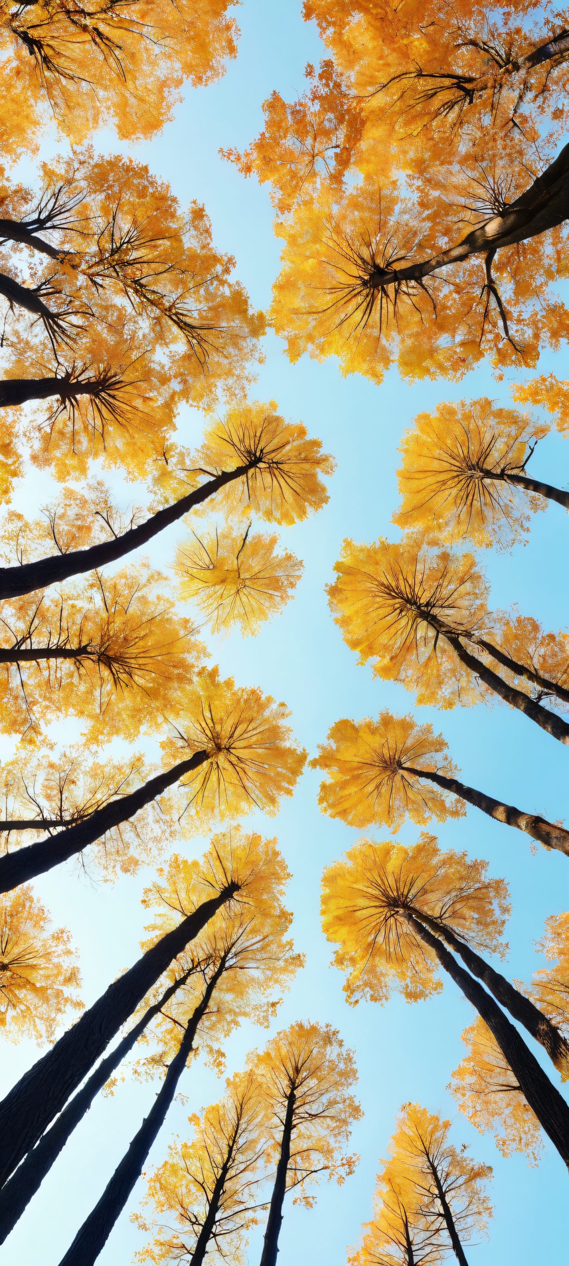 towering treasures scaled