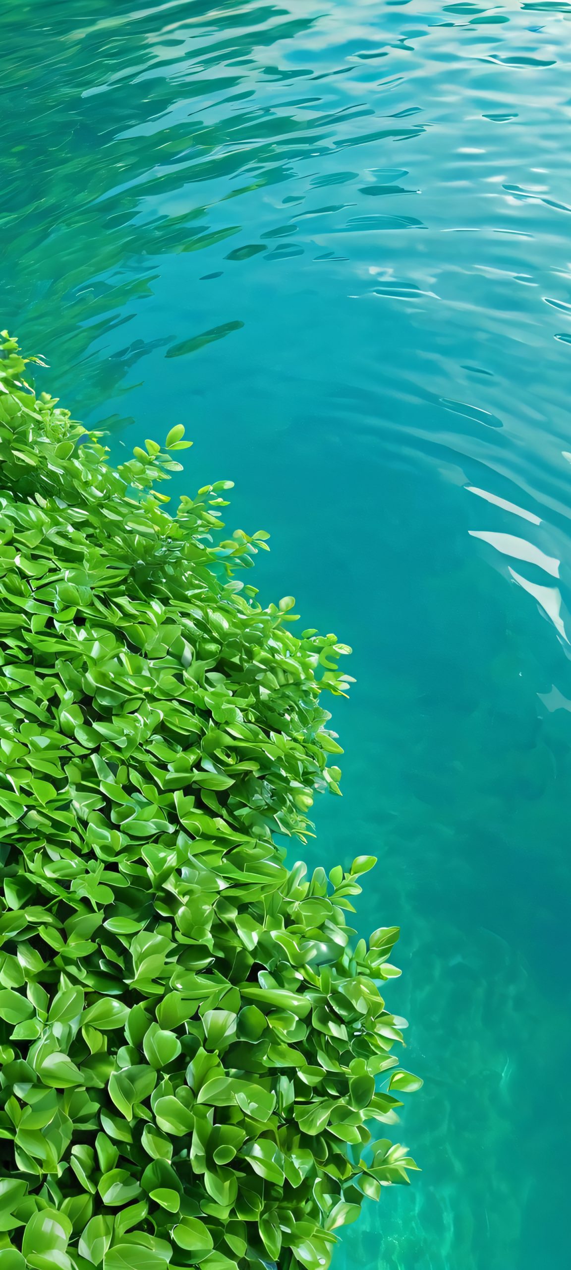 A serene and realistic water scene with lush greenery, perfectly optimized for iPhone and Android home screens