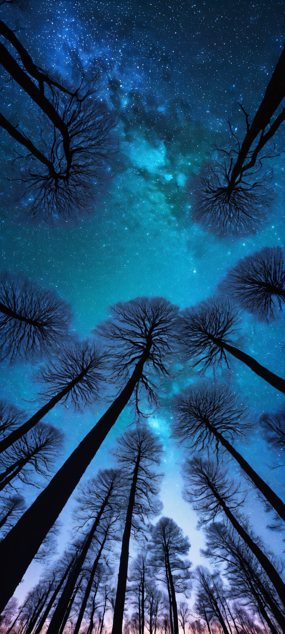 Whispering Woods at Dusk 2K QHD Mobile Wallpaper iPhone and Android mobile phone wallpaper of tree silhouettes in a woodland nightscape with starlight. Perfectly optimized for home screens.