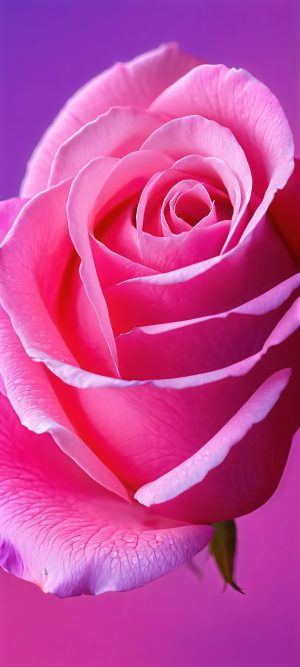 whispers of spring scaled