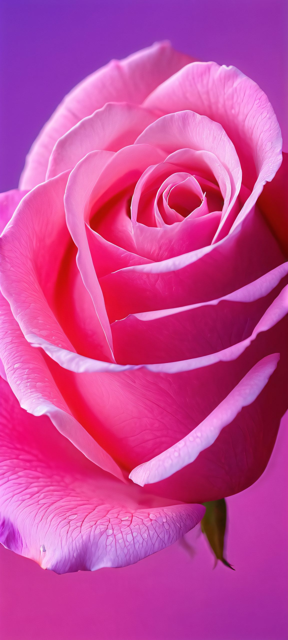 whispers of spring scaled