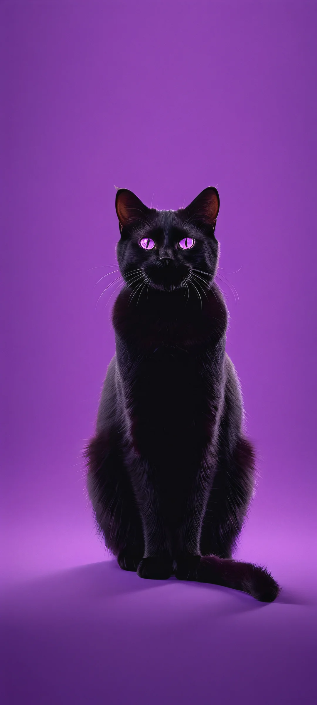 A stunning black cat in a surreal setting, perfectly sized for iPhone and Android mobile devices.