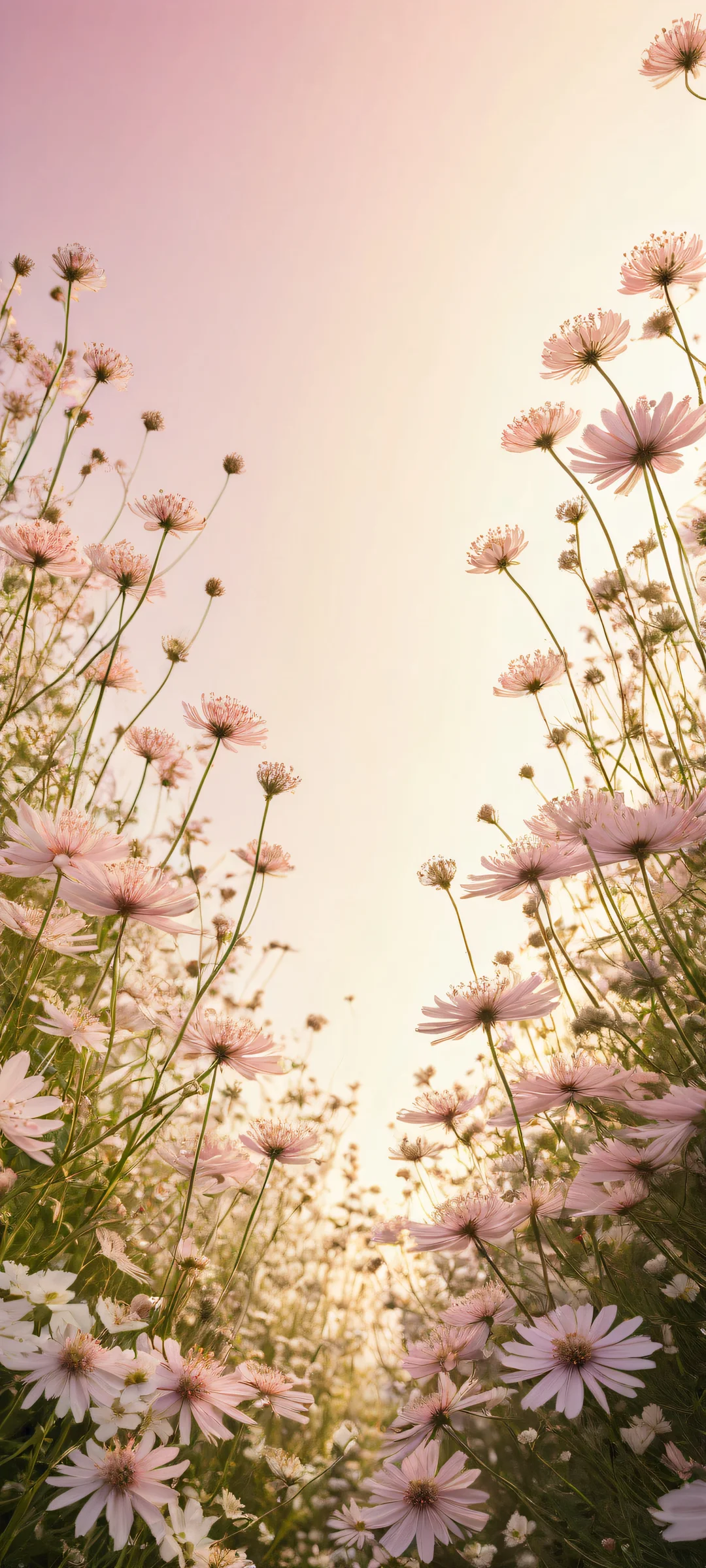 iPhone and Android users will adore this stunning portrait of Anthriscus sylvestris flowers, showcasing intricate patterns and textures against a vast pure void.