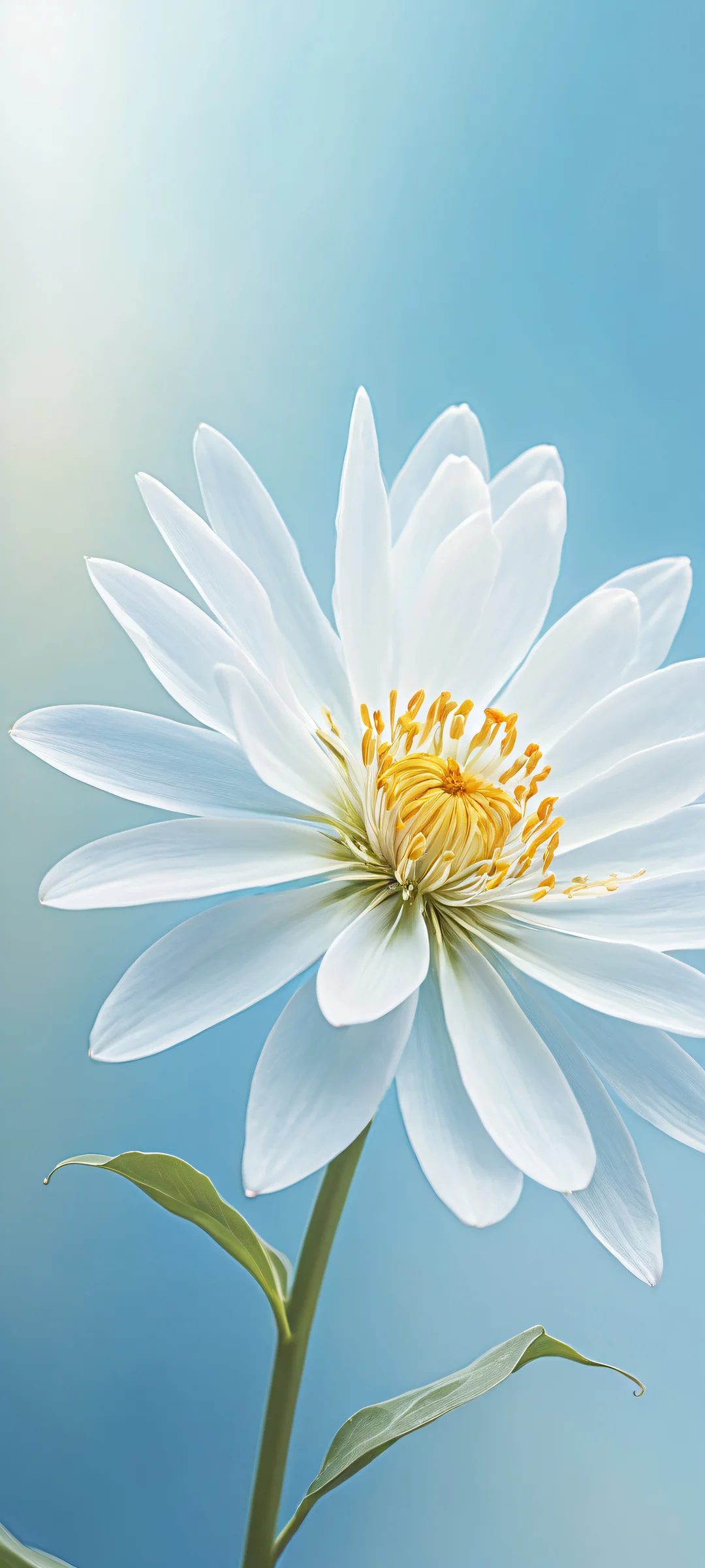 A stunning iPhone/Android wallpaper featuring Ethereal Blooms in the lower-middle with intricate details, perfectly clean top half for UI breathing space.