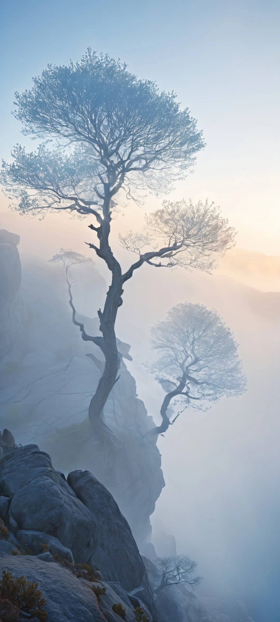 iPhone/Android stunning misty landscape artwork with ethereal forms and soft blues and whites evoking dawn.